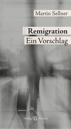 ms-remigration-cover_720x600